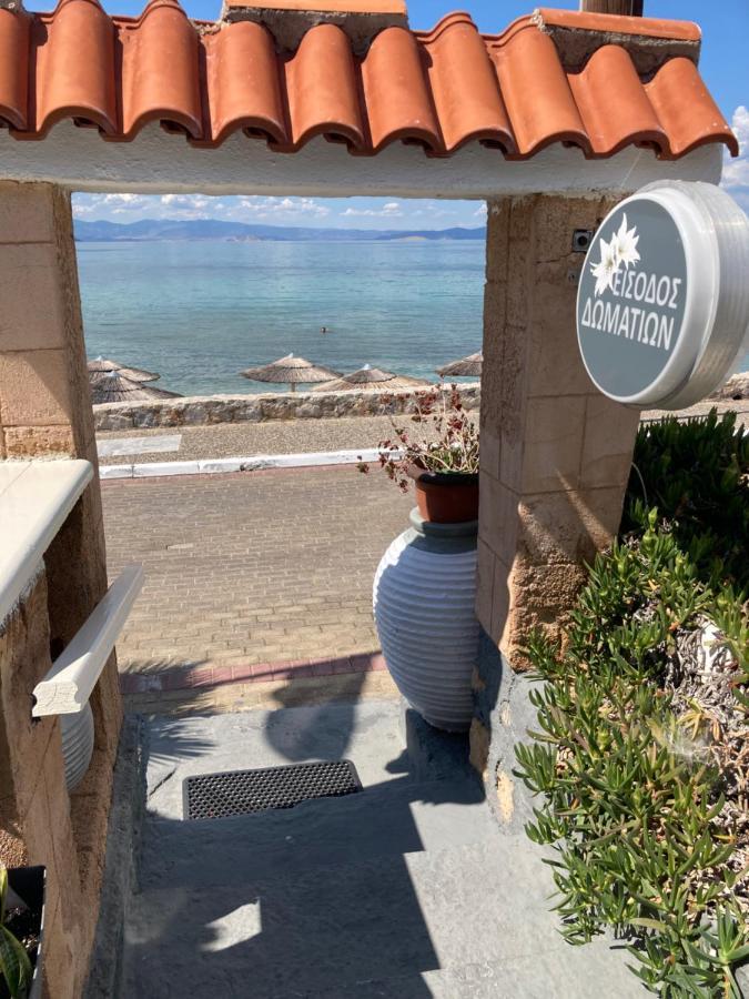 Hotel Beach Amaryllis Megalochori  Eksteriør billede